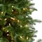 7ft. Pre-Lit South Carolina Fir Artificial Christmas Tree, Clear Lights
